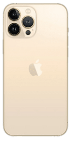 Buy the iPhone 13 Pro Max in Bulk